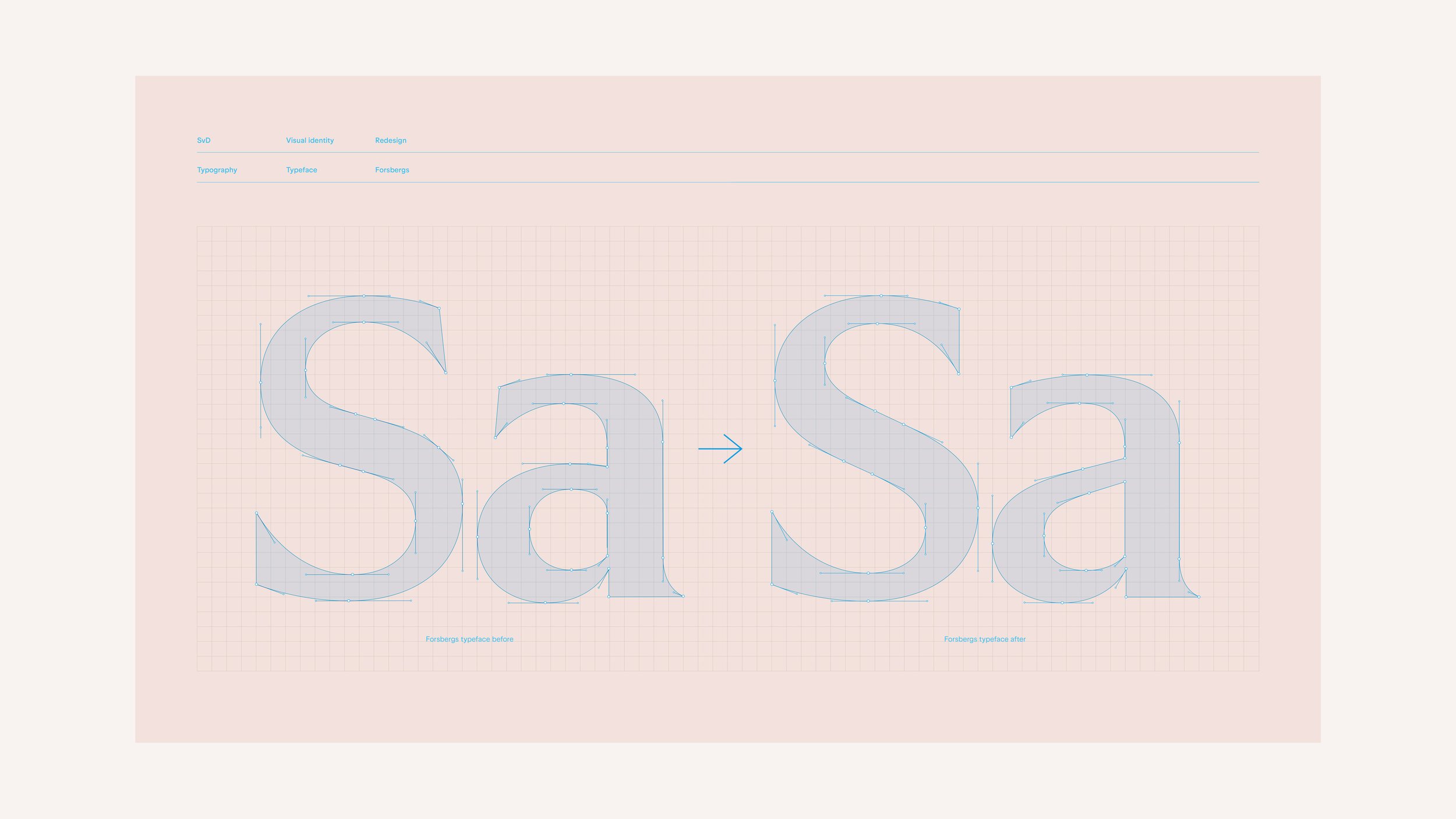 Svenska Dagbladet digital assets